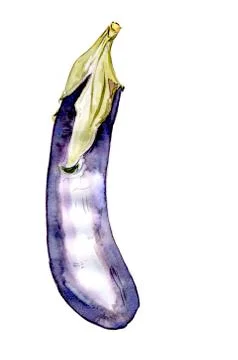Aubergine Stock Illustration