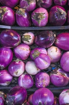 Aubergine vegetable Stock Photos