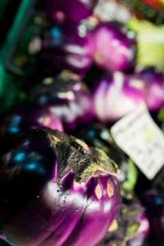 Aubergines in Florence Stock Photos