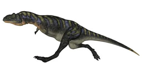 Aucasaurus dinosaur isolated on white background. 스톡 일러스트