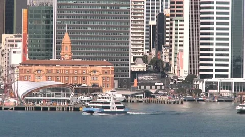 Auckland Harbor Vídeo Stock 8764497