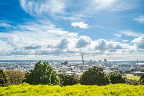 Auckland Stock Photos