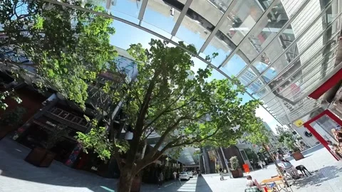 Auckland Sky Tower Stock Footage 224586011