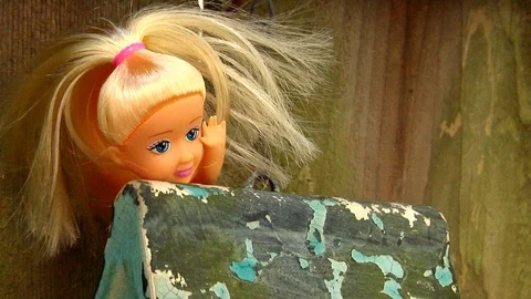 Audacious Doll On a Blue Birdhouse Stock Footage 105202997