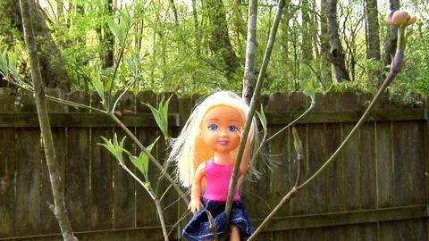 Audacious Doll climbs a Dogwood to See the Flower Bud Stock Footage 105203353