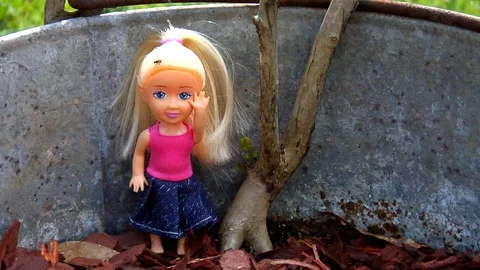 Audacious Doll a Fly, a Tin Pail and New Growth Crape Myrtle Stock Footage 105203537