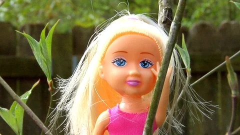 Audacious Doll Sits and Plans to Build a Tree House Stock Footage 105203571