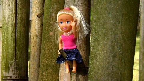 Audacious Doll Sits On a Bamboo Limb Stock Footage 105202528