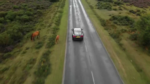 Audi A7 Driving Road Drone Horses Green Fields Slow motion 2.7K Stock Footage 146100875