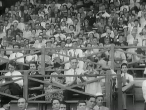 Audience applauding and cheering Stock Footage 11355643