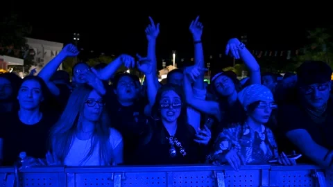 Music Festival Fans Stock Footage ~ Royalty Free Stock Videos | Pond5