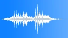 Audience LaughterSound Effect