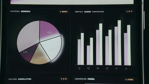 Audience Segments Pie Chart and Monthly Cohort Comparison bar chart Stock Footage 334436241