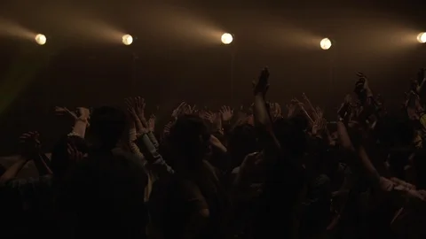 The audience shouted in concert | Silhouette Stock Footage