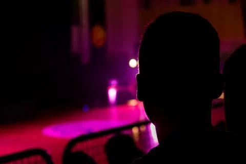 Audience at a show. Stock Photos
