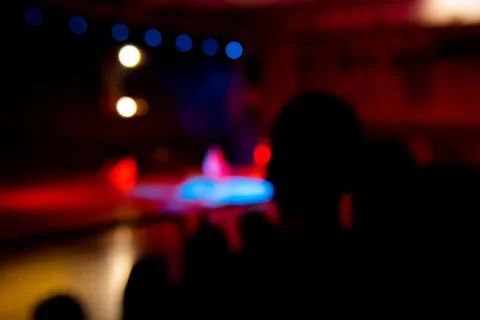 Audience at a show. Stock Photos