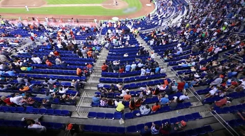 70+ Baseball Stadium Seats Stock Videos and Royalty-Free Footage