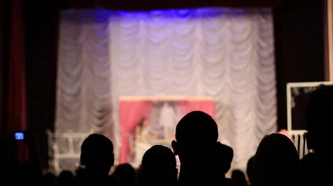 Audience watching performance in the theater Stock Footage 43595315