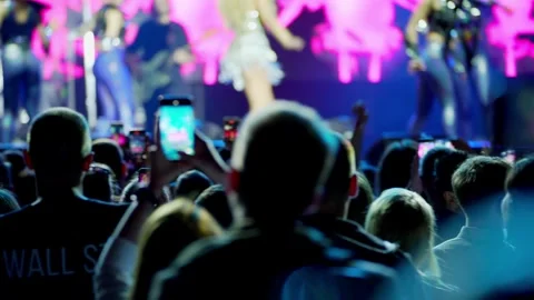 Audience Watching a Vibrant Live Performance. Stock-Footage 313808596