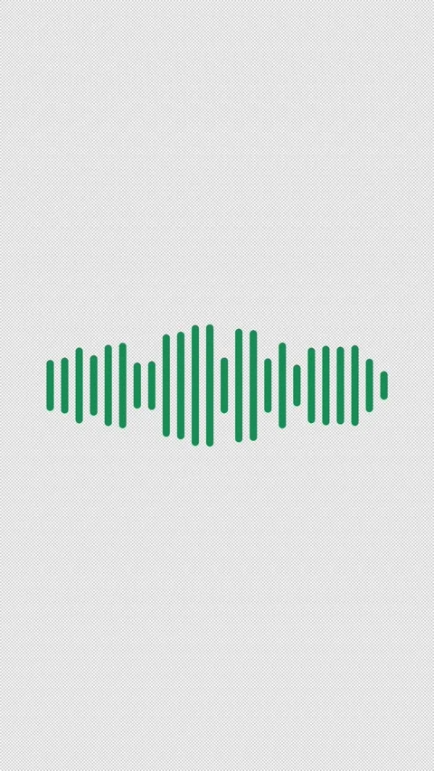Audio Equalizer Visualizer 24 Green Mirror Overlay Alpha 4K Vertical 9x16 Light Vídeos de archivo 339507610