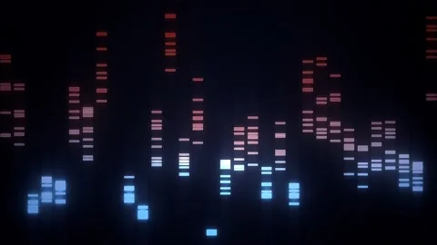 Audio Graphic Equalizer Bars Animation 库存影片 340269254