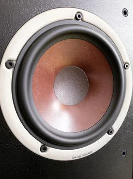 Audio loudspeaker with brown diffuser close up. Foto stock
