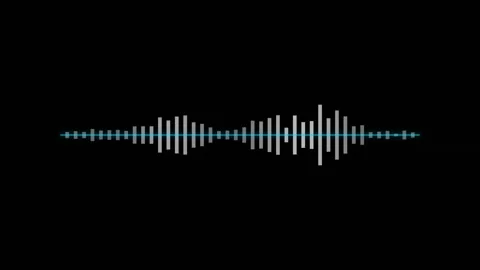 Audio Mirrored Bar Equalizer Visualizer Mono White On Black Stock Footage 342759794