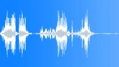 AUDIO SFX - Rare clean recording of juvenile (Teenage) Male Lions fightingSound Effect