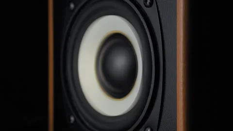 Audio Speaker Woofer Low Frequency Vibrating Close-up Stock Footage 297603203