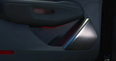 Audio system speaker and car door interior of passenger door in luxury car Stock Footage 304090385