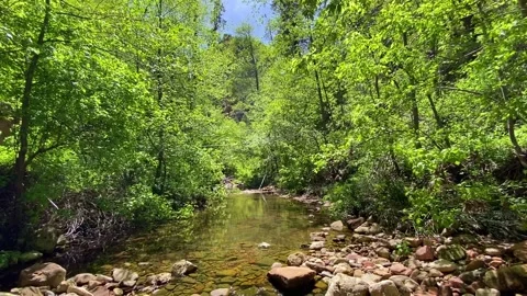 🌊 Audio-Visual Bliss: West Fork Mountain Stream with Sound Stock Footage 333143334