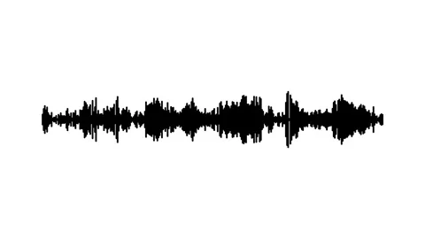 Audio Waveform Visualizer Animation Black Line Music Wave White Background 4K Stock Footage 341030742