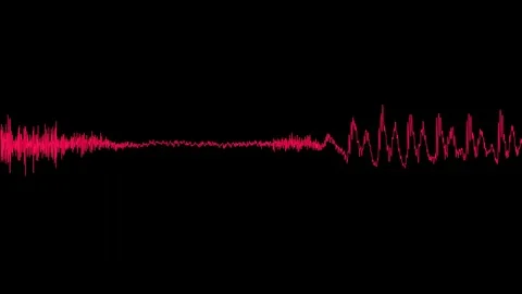 AudioForm5 Video stock 84785105