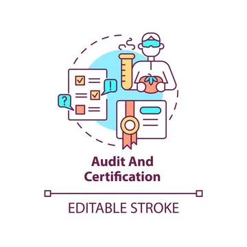 Audit and certification concept icon Stock Illustration