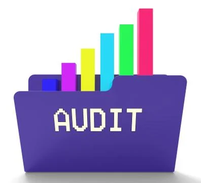 Audit File Indicates Business Graph 3d Rendering Stockillustratie