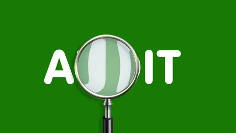 Audit Stock Footage 178741552