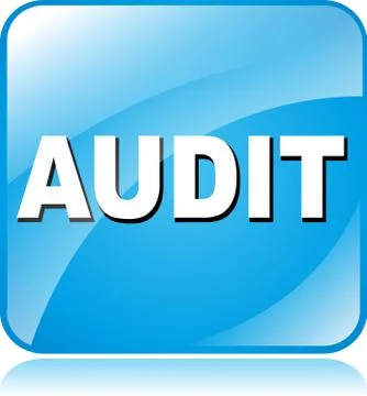 Audit icon Stock Illustration