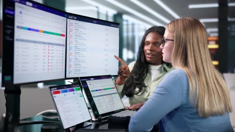Audit Manager And Team Track System Logs Ensuring Compliance Stock Footage 345323206