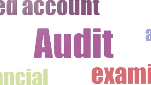 Audit Tagcloud Animated On White Background Stock Footage 107235498