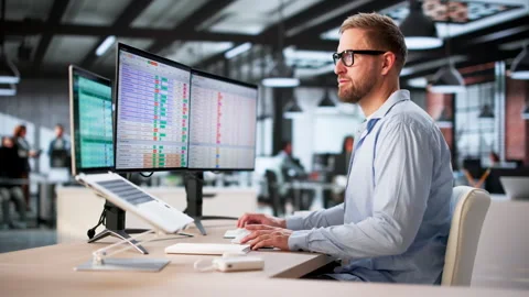 Audit Using Computer Software Stock Footage 328708083