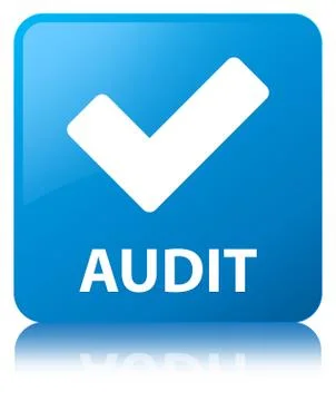 Audit (validate icon) cyan blue square button Stock Illustration