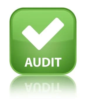 Audit (validate icon) special soft green square button Stock Illustration