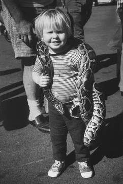 Audition Of A Pet Python, Los Angeles, California, USA Foto stock