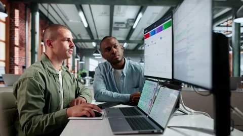 Auditor And Analyst Reviewing System Logs Stock Footage 334922385