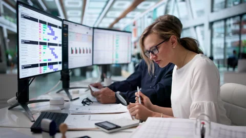 Auditor And Assistant Review Documents Stock Footage 336791651