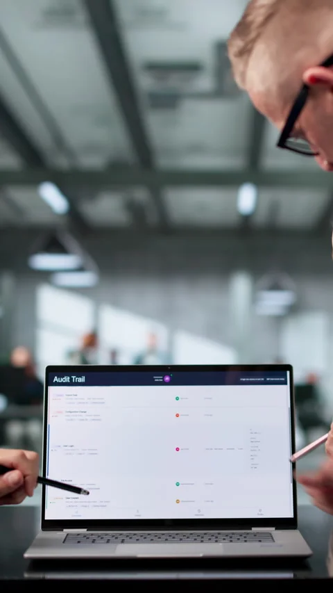 Auditor And Team Reviewing Data Logs For Compliance Stock Footage 337630693