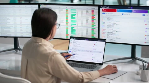 Auditor Reviews Data Logs On Laptop To Ensure Compliance Stock Footage 338171173