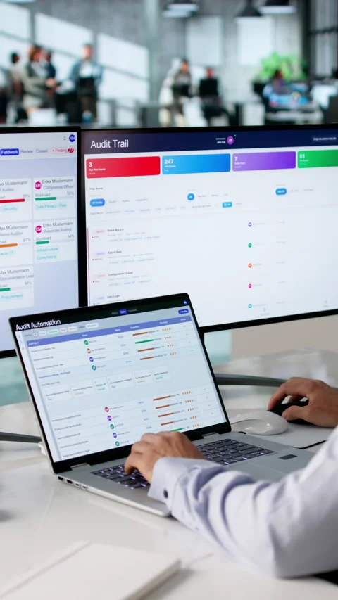 Auditor Using Automated Software System Stock Footage 335456916