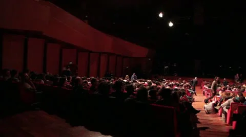 Auditorium Live - Crowd at pop Concert Stock Footage