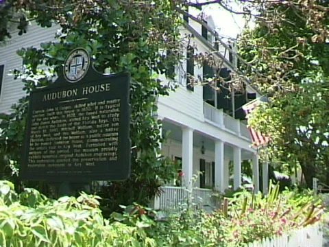 Audubon House Video stock 816237